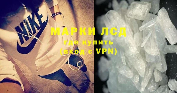 PSILOCYBIN Покачи