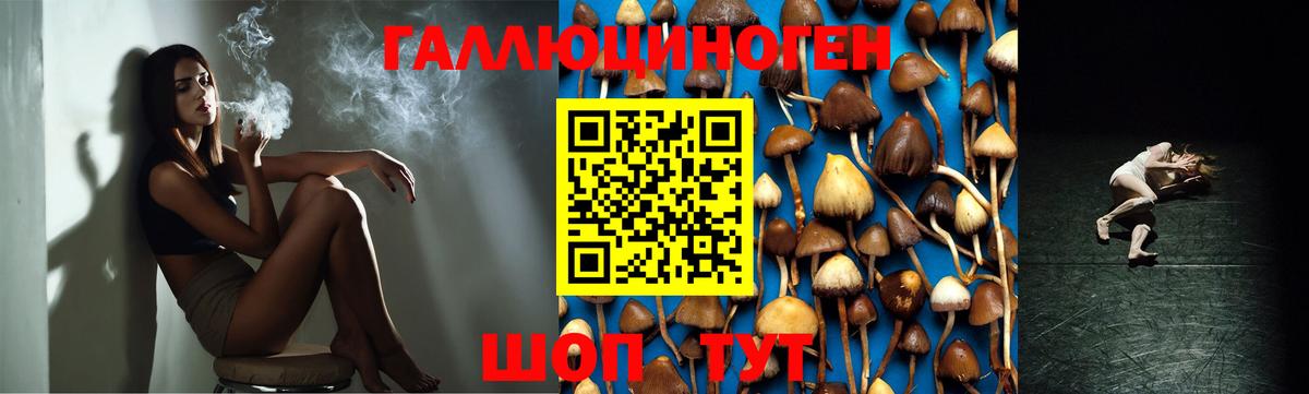 Галлюциногенные грибы Psilocybine cubensis Тавда