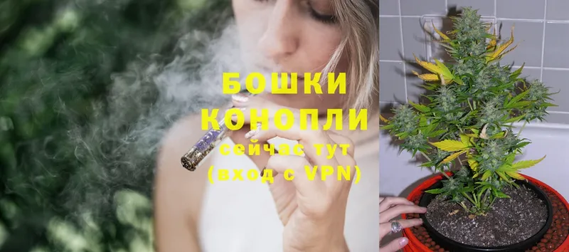 mega как войти  Тавда  Бошки марихуана тримм  цены наркотик 